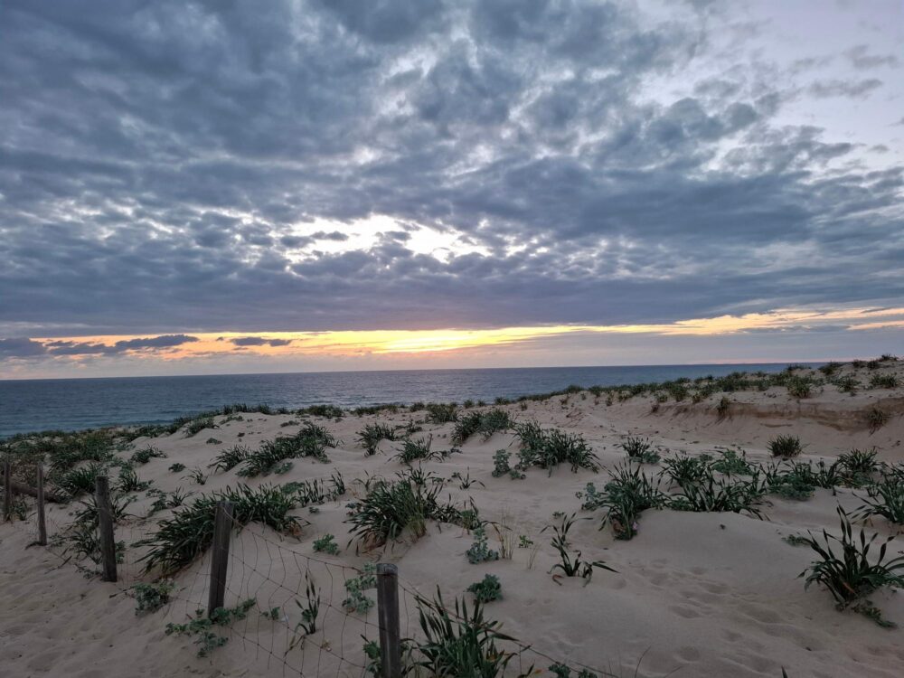 La plage de La Lette Blanche dans les Landes, France