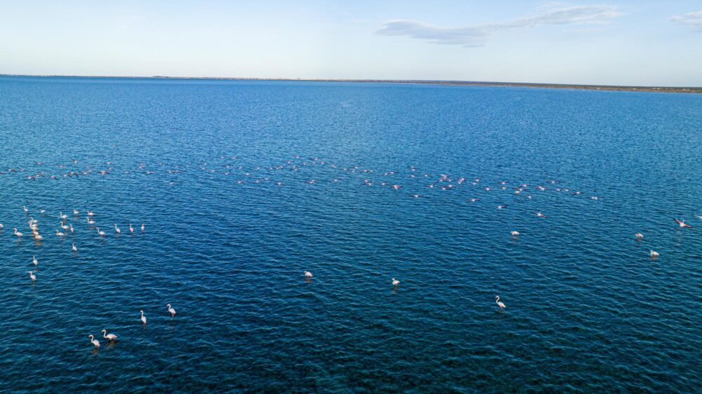 La presqu'île de Zarzis, Tunisie