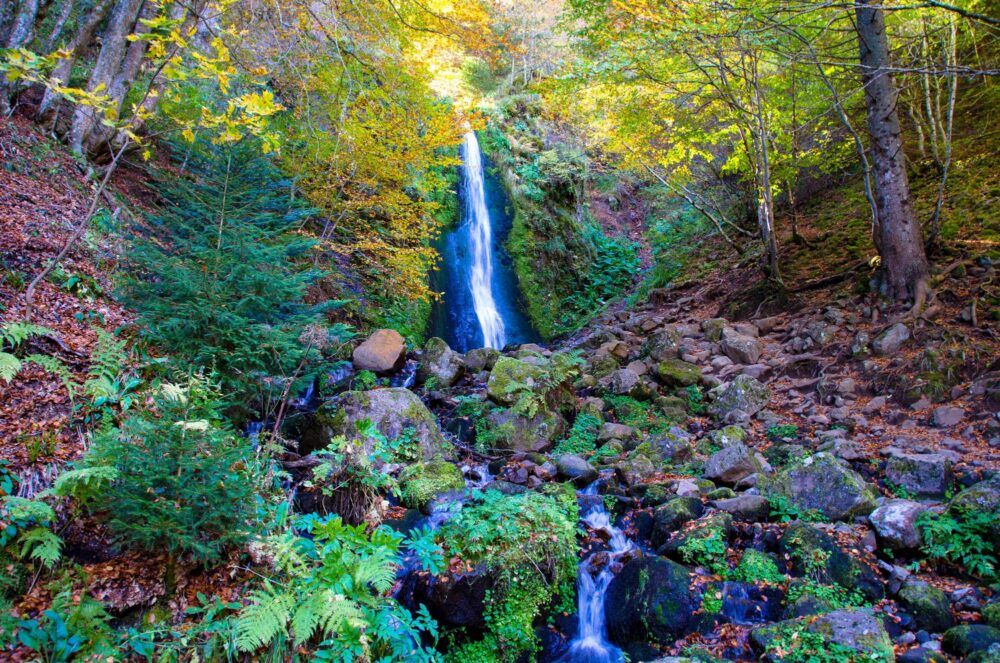 La réserve naturelle nationale de la vallée de Chaudefour, Auvergne