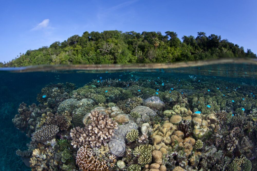 Lagon de Marovo, îles Salomon