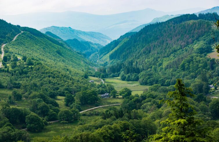 Le Centre de la forêt de Coed y Brenin