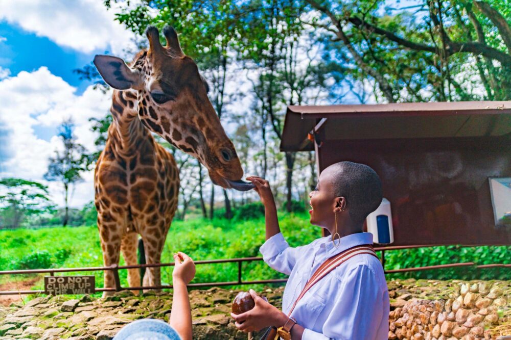 Le Giraffe Centre, Kenya