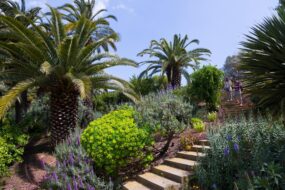 Le Jardin botanique de Barcelone