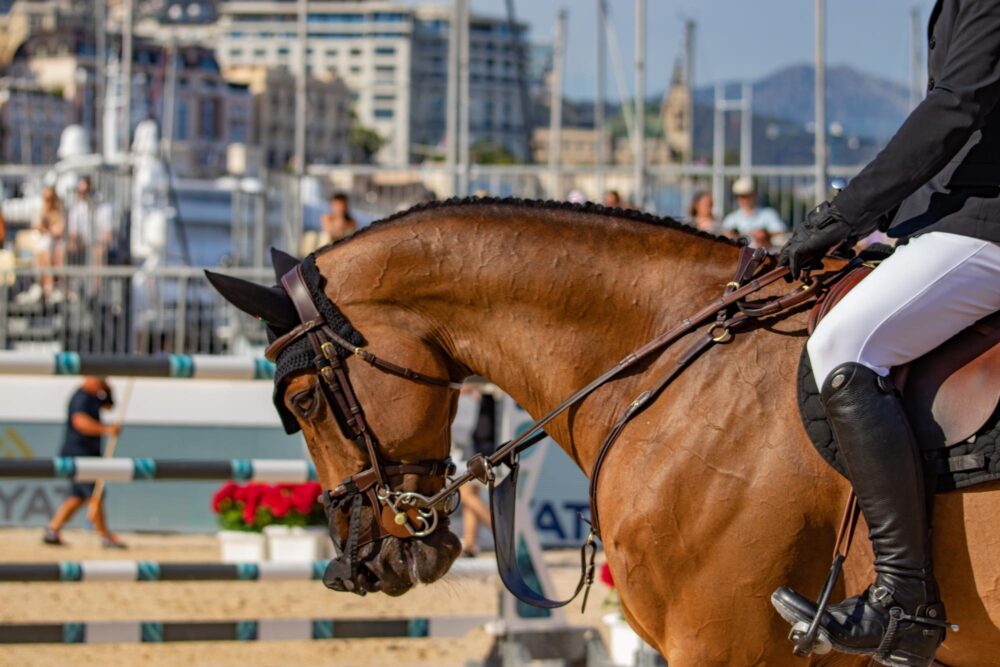 Le Jumping International de Monte-Carlo