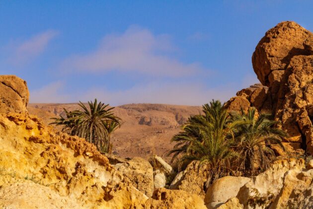Le Mont Chaambi, Kasserine,Tunisie