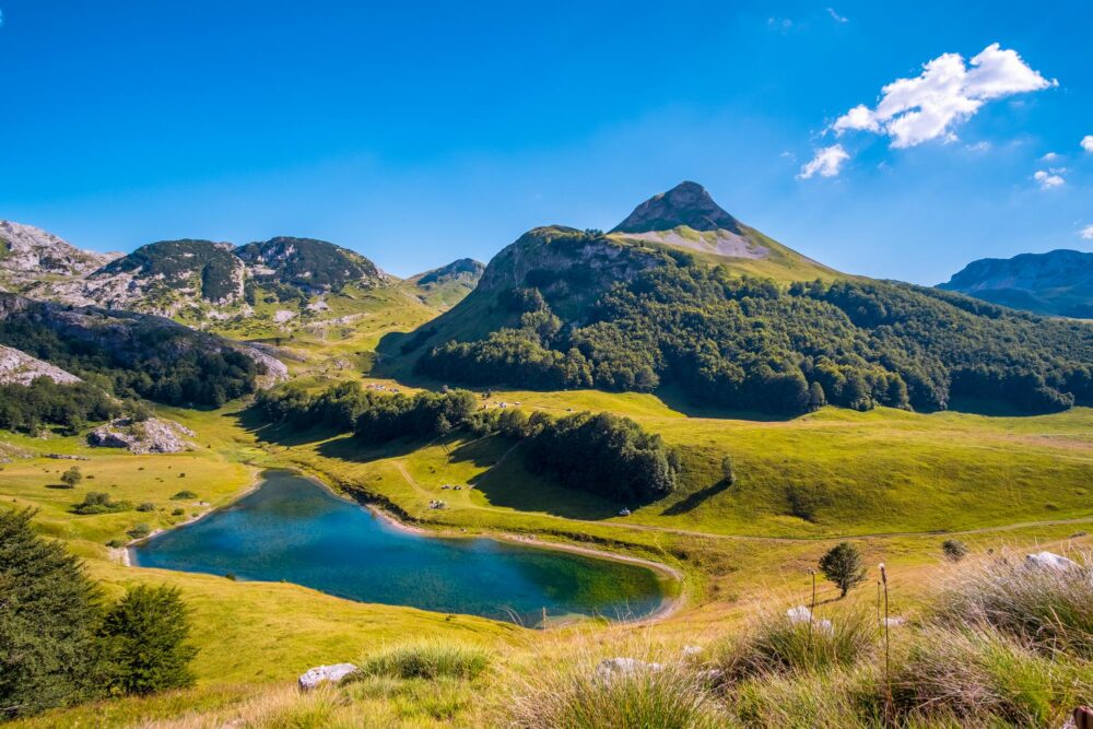Le Parc national de Sutjeska, Bosnie