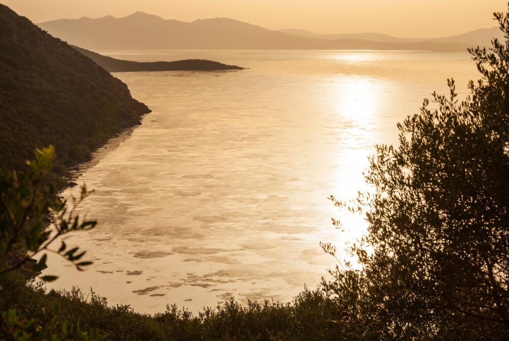 Le Parc national de l'Ichkeul, Tunisie