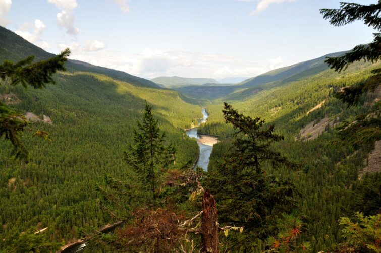Le Parc provincial de la Rivière Bleue, Nouvelle Calédonie