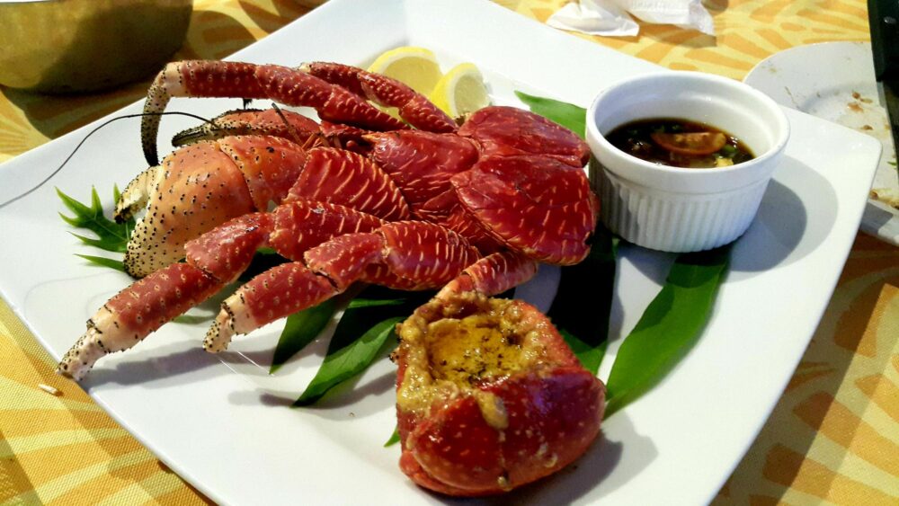 Le crabe de cocotier