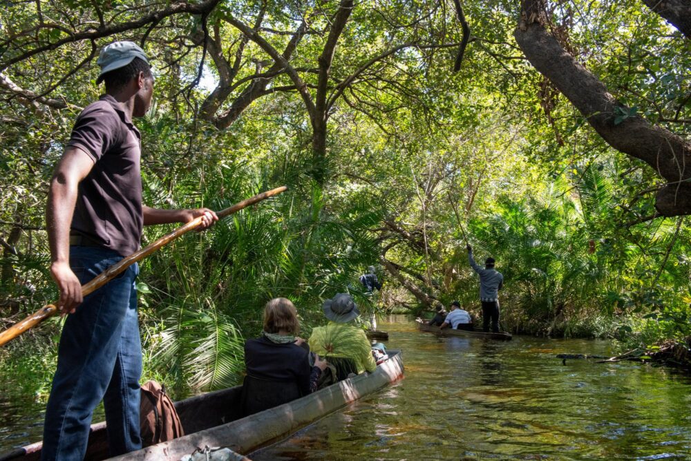 Le delta de l’Okavango, Bostwana