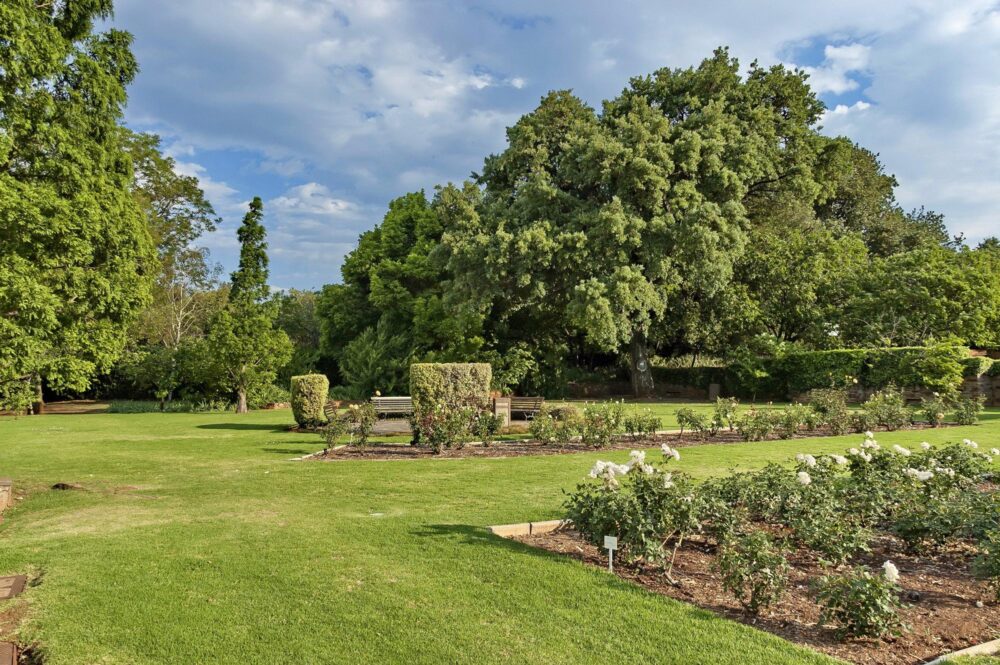 Le jardin botanique, Johannesburg