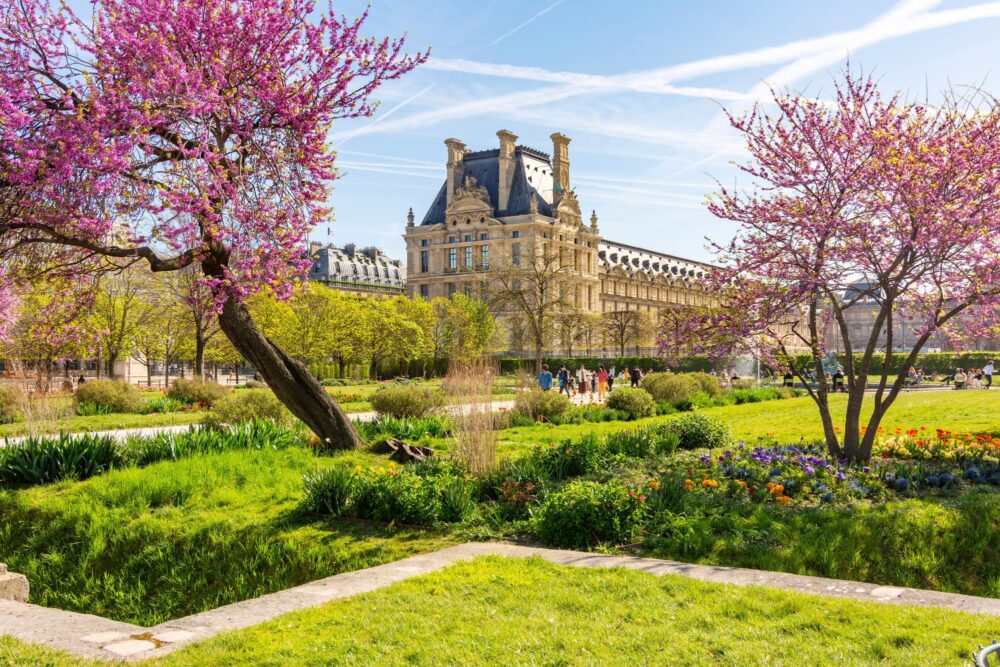 Le jardin des Tuileries, Paris