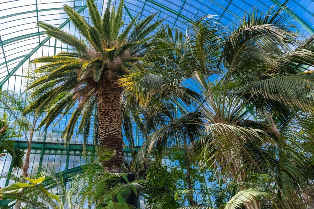Le jardin des serres d'Auteuil, Paris