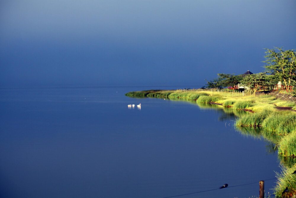 Le lac Elementaita, Kenya