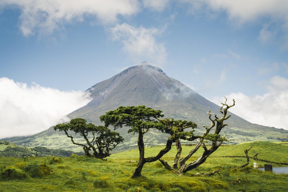 Le mont Pico, Les Açores