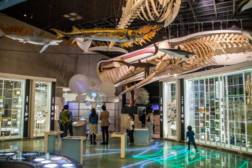 Le musée national de la nature et des sciences de Tokyo, Japon