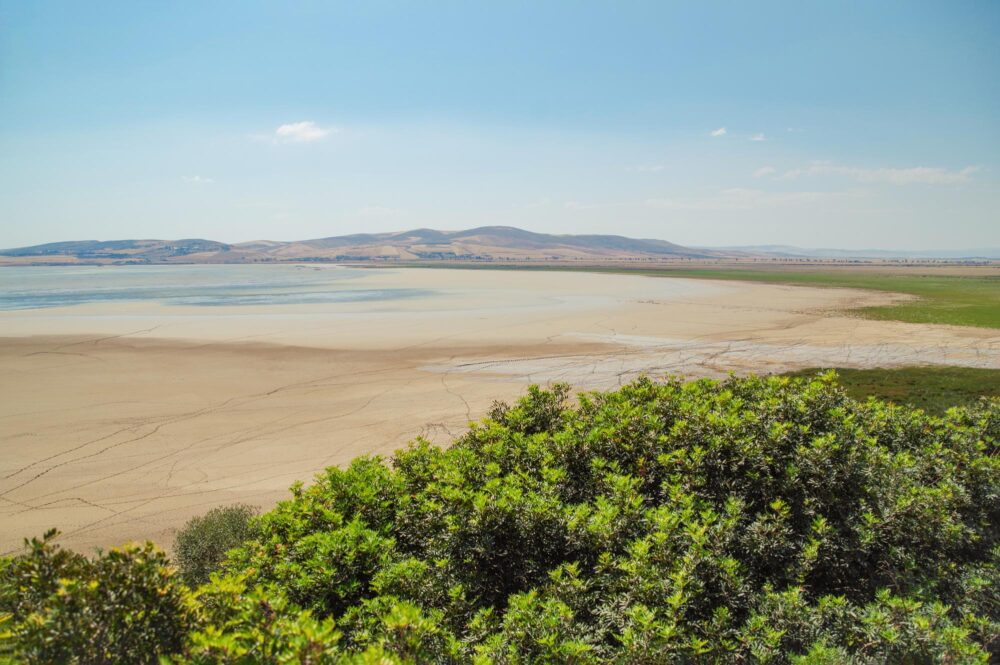Le parc national de l’Ichkeul, Tunisie