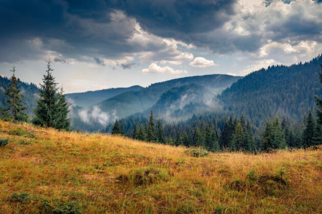 Le parc naturel des Monts Apuseni, Roumanie