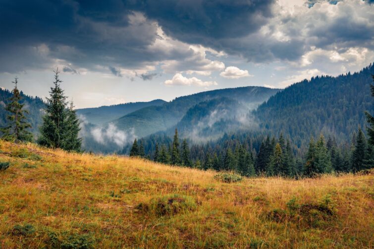 Le parc naturel des Monts Apuseni, Roumanie