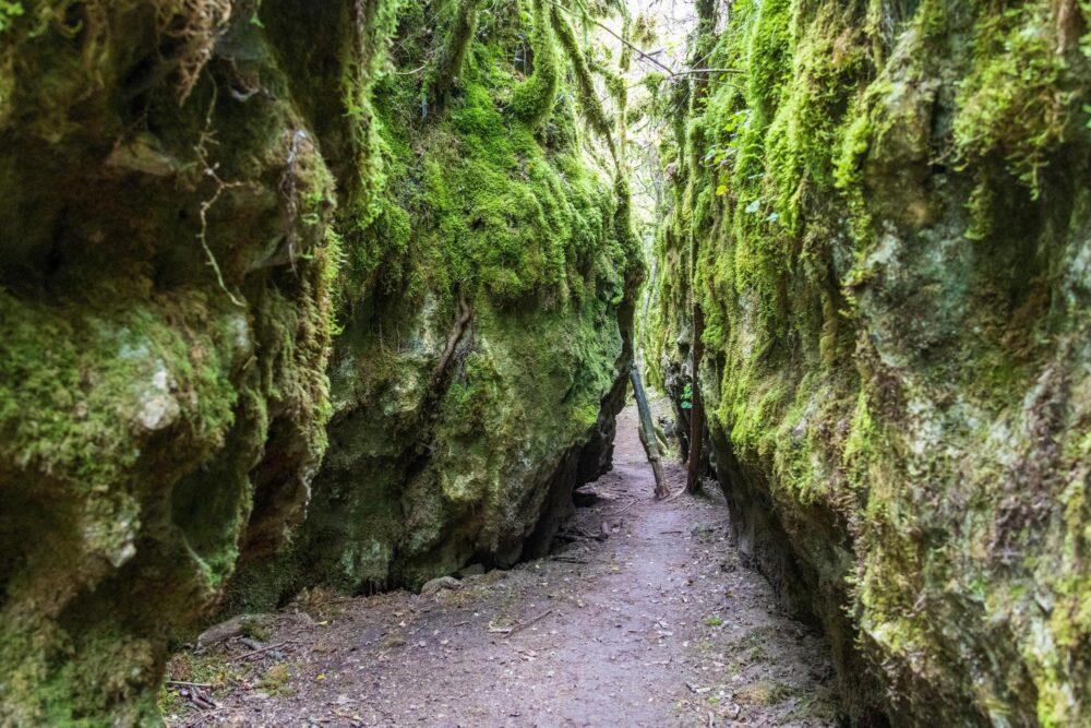 Le plateau du Larzac