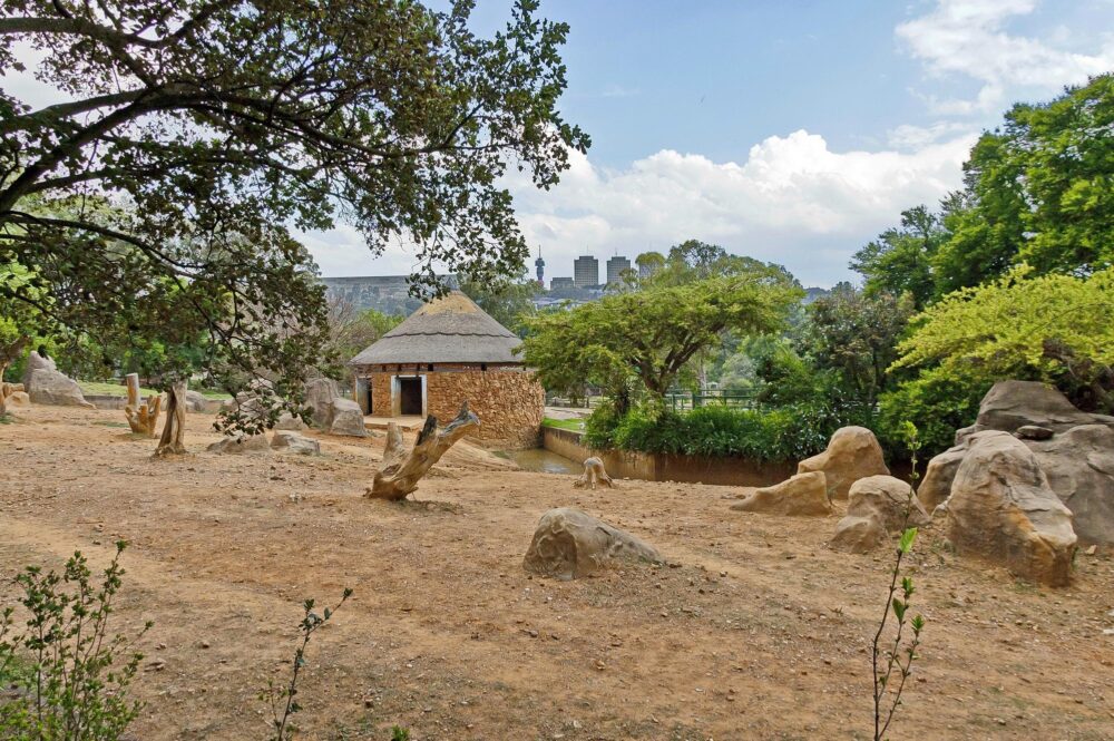 Le zoo de Johannesburg, Afrique du Sud
