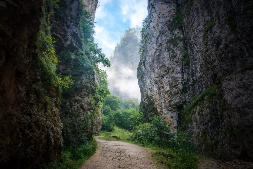 Les Gorges de Zărnești 