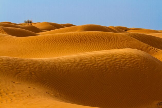 Les dunes du Grand Erg Oriental, Sud Tunisien