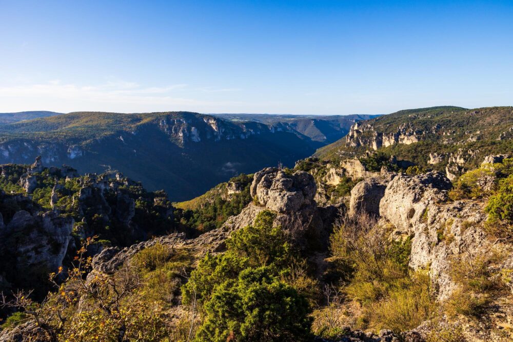 Les gorges de la Dourbie