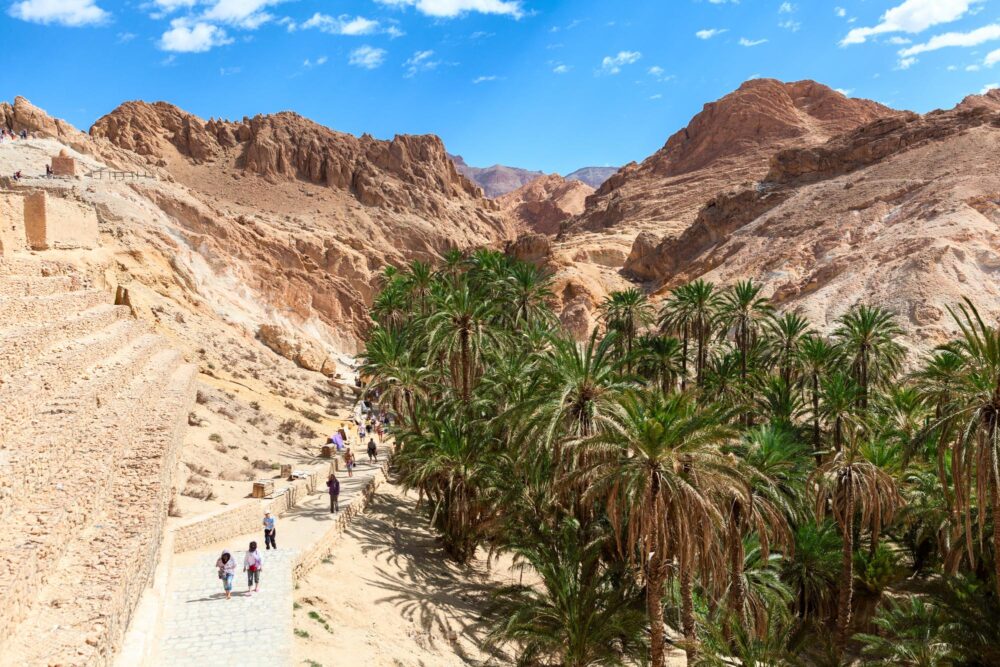 Les oasis de Tozeur, Tunisie