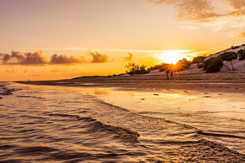 Les plages de Lamu, Kenya