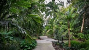 Leu Gardens Orlando