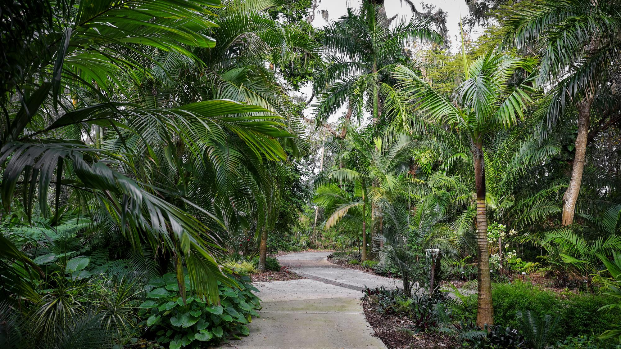 Leu Gardens Orlando