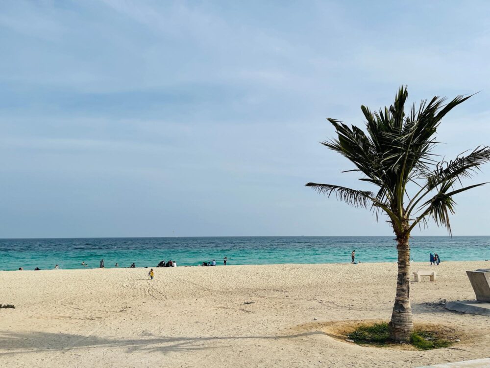 L'île de Kish en Iran avec mer, arbres et plage