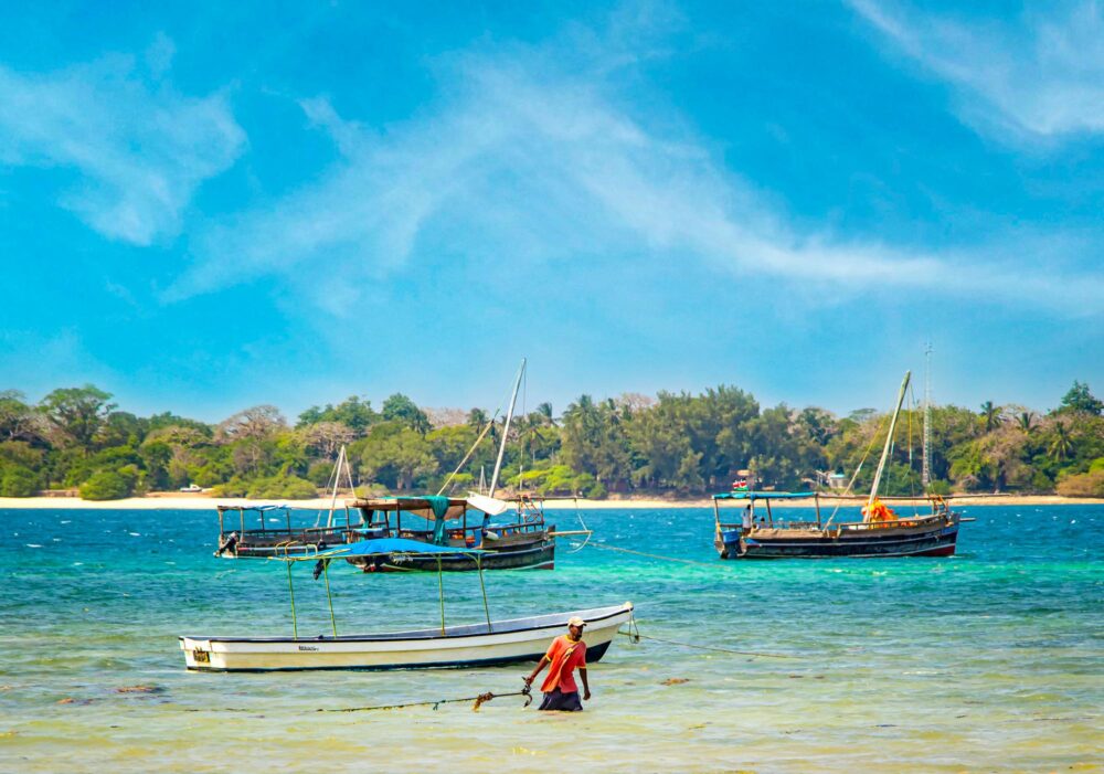 L’île de Wasini, Kenya