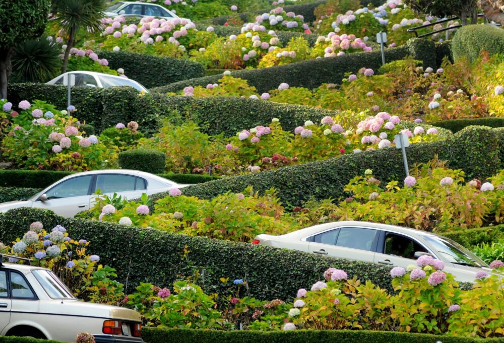 Lombard Street, San Francisco