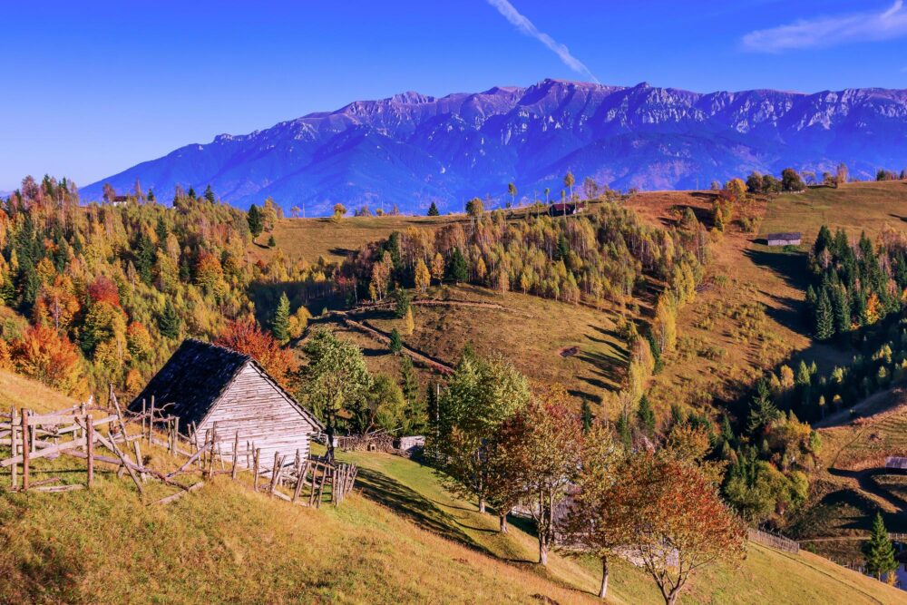 Măgura