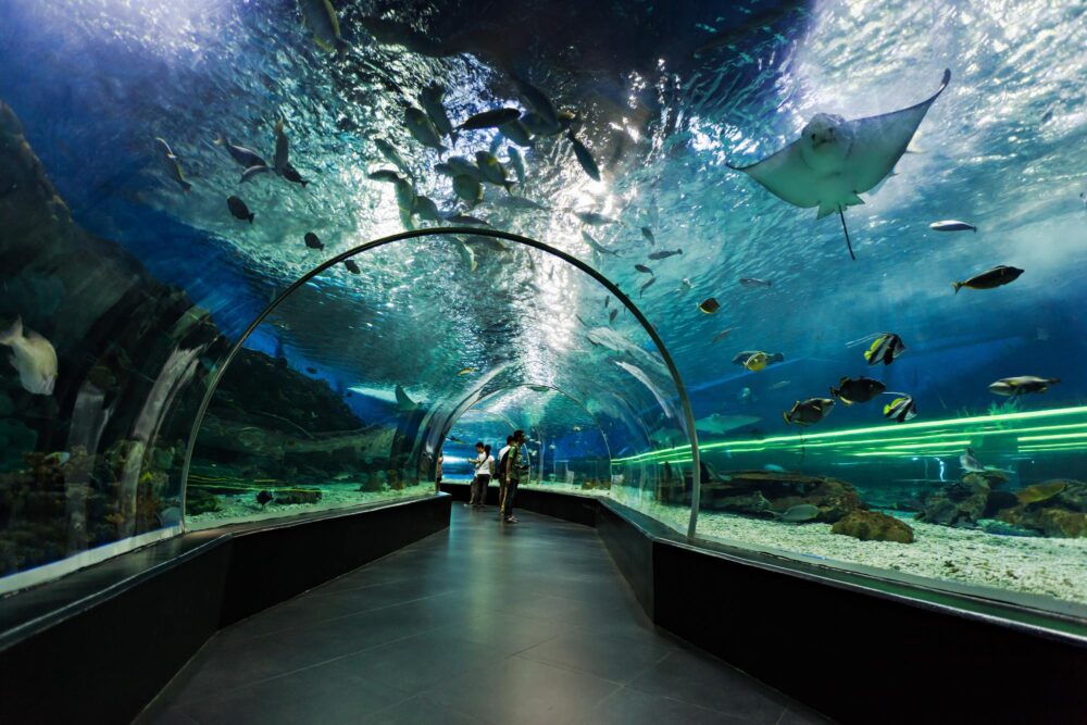 Manila Ocean Park, Philippines