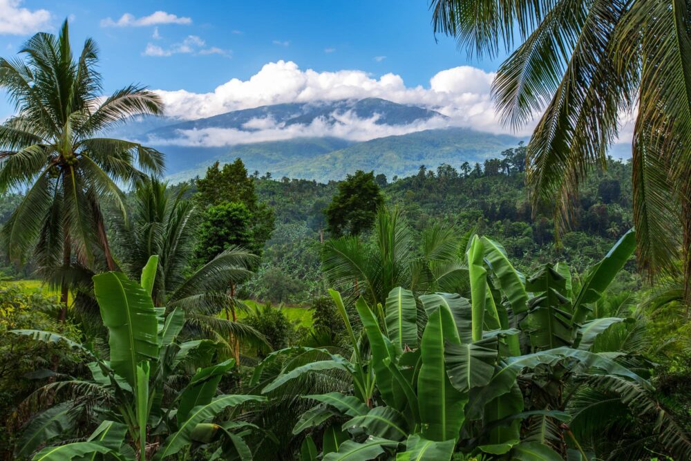 Mont Halcon aux Philippines