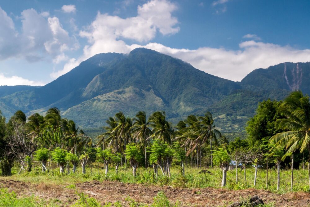 Mont Talinis aux Philippines