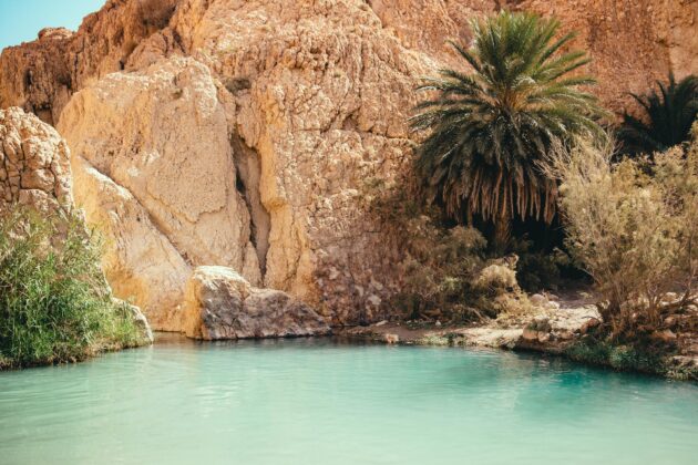 Oasis de Chebika à Tozeur, Tunisie