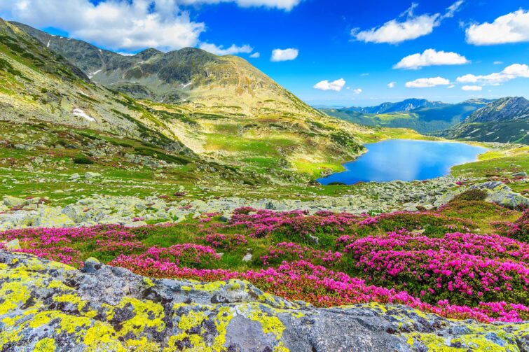 Parc national Retezat, Hunedoara, Roumanie