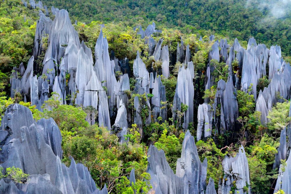 Parc national de Gunung Mulu en Malaisie