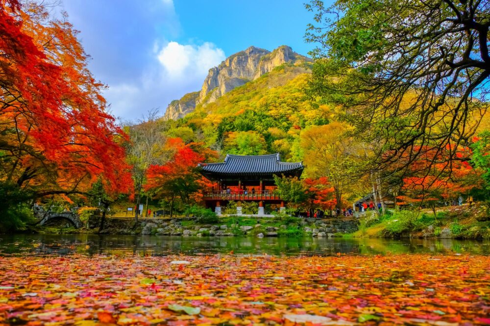 Parc national de Seoraksan en Corée du Sud