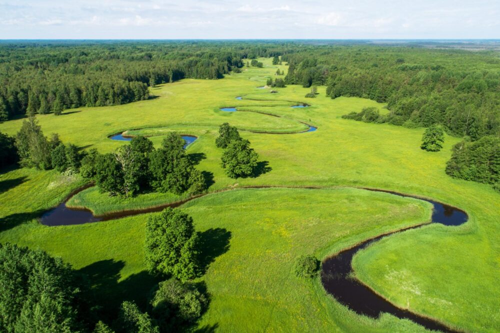 Parc national de Soomaa à visiter en EStonie. Vue aérienne de la prairie ombragée et ensoleillée de Mulgi
