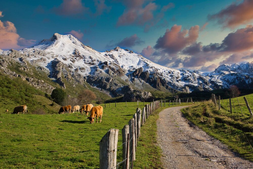 Parc naturel de Somiedo