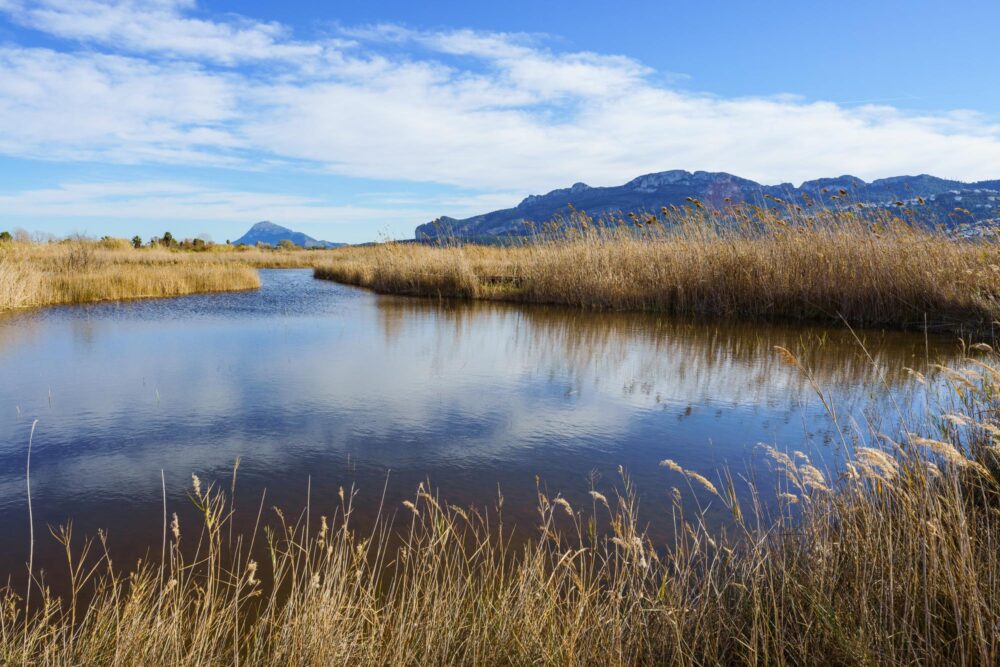 Parc naturel de la Marjal de Pego-Oliva