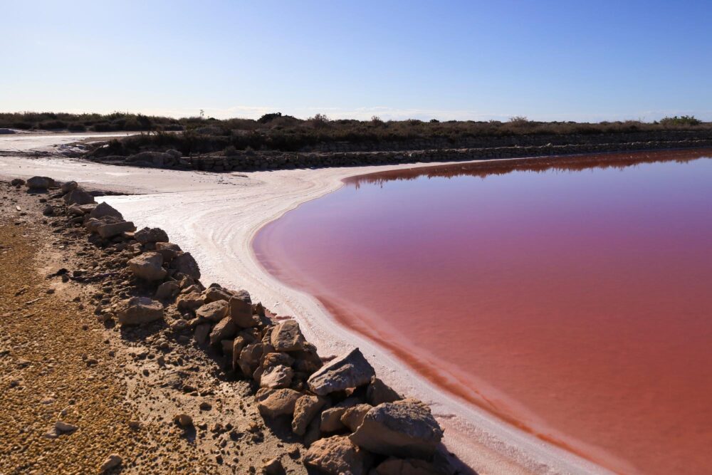 Parc naturel des Salines de Santa Pola