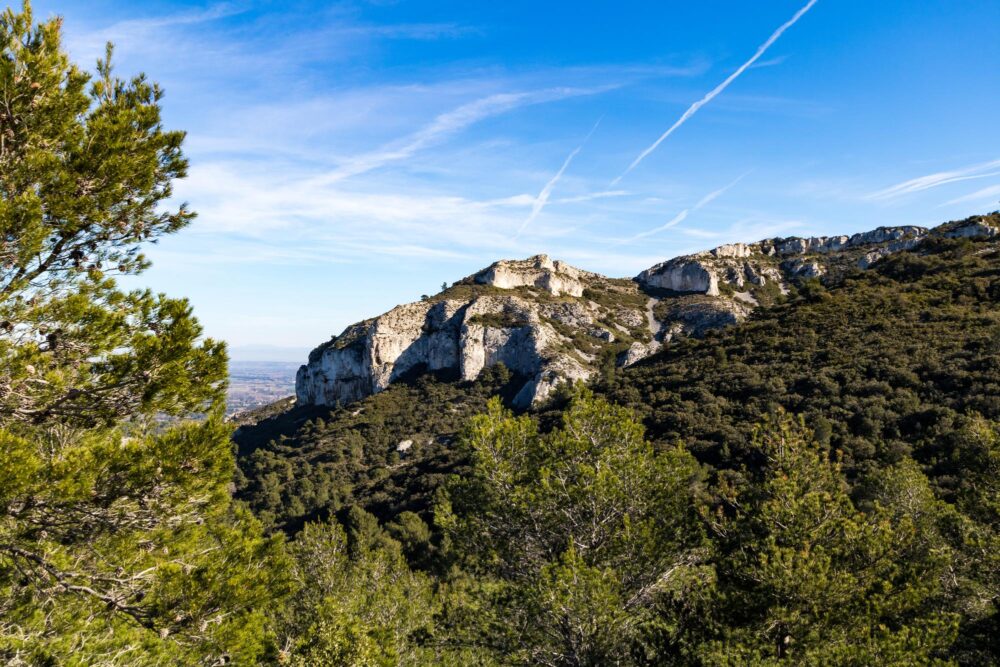 Parc naturel régional des Alpilles