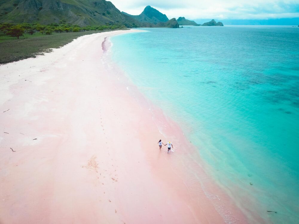 Pink Beach à Komodo en Indonésie