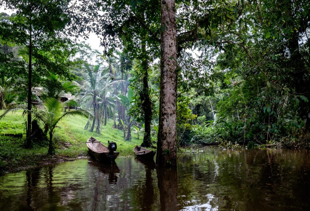 Pirogue dans la réserve Indio Maíz